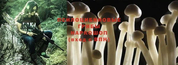 бутик Бородино