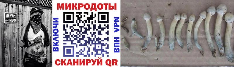 Галлюциногенные грибы мухоморы  Боровичи 
