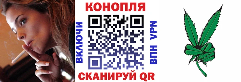 Канабис сатива  Боровичи 